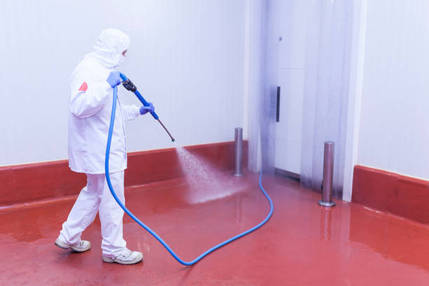 Best House Exterior Washing  in Monee, IL