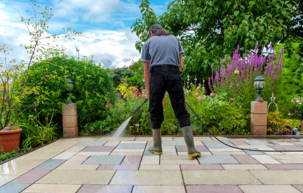Best Animal Enclosure Cleaning  in Monee, IL