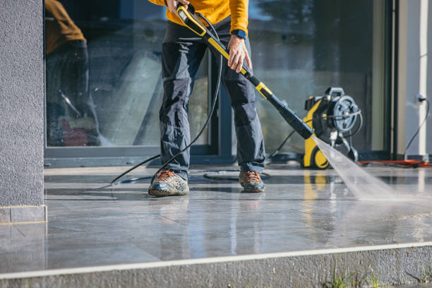 Best Sidewalk and Walkway Cleaning  in Monee, IL